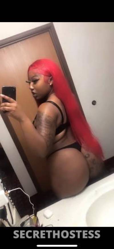 🧁🥰 22Yrs Old Escort Fort Worth TX Image - 1