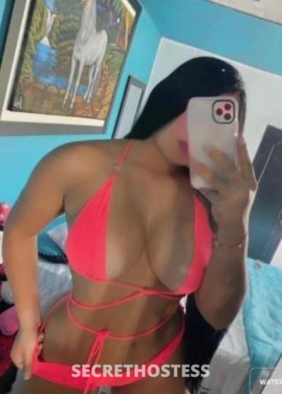 CAMILA 27Yrs Old Escort San Jose CA Image - 0