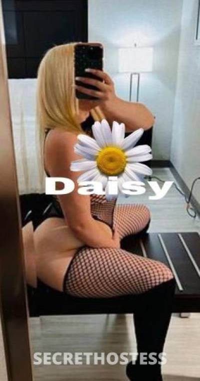 Daisy 33Yrs Old Escort Flint MI Image - 2