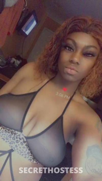 28 year old Escort in San Antonio TX INCALLS !! come get some dark chocolate