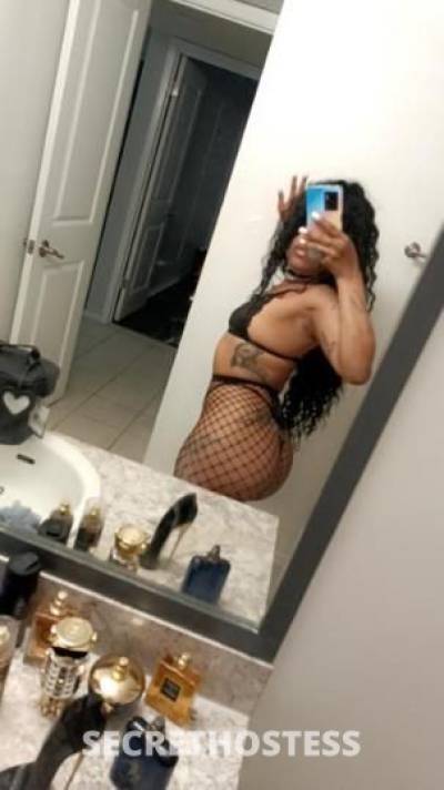 Loli 23Yrs Old Escort Tampa FL Image - 1