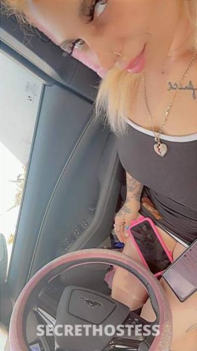 Moneyymarie 27Yrs Old Escort Daytona FL Image - 1