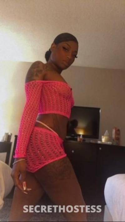 Nikki 25Yrs Old Escort Southern Maryland DC Image - 2