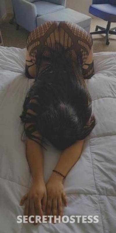 Sofia 24Yrs Old Escort Long Island NY Image - 0