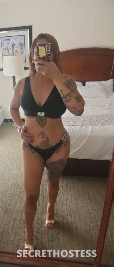 38Yrs Old Escort Sarasota/Bradenton FL Image - 0