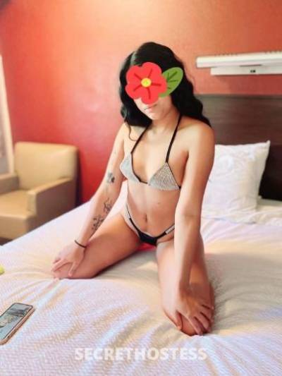 Andreina 24Yrs Old Escort Northern Virginia DC Image - 2