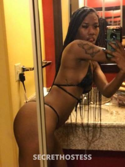 Blasian 22Yrs Old Escort Saint Louis MO Image - 1