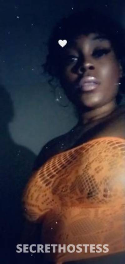 CYNSAI 29Yrs Old Escort Dallas TX Image - 2