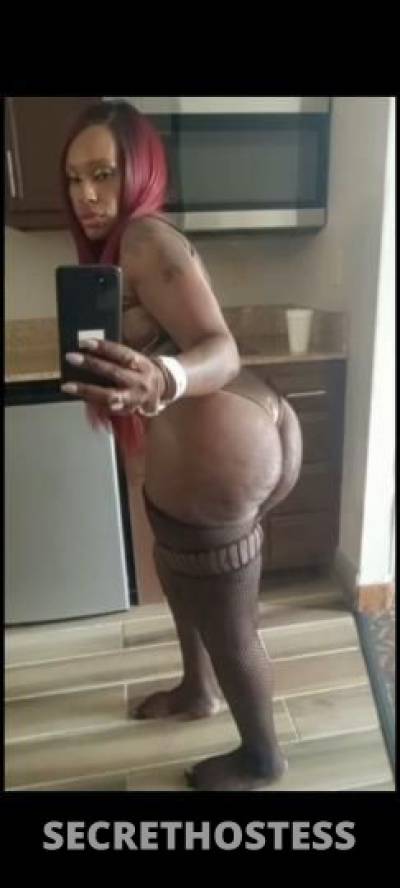 ChocolateGodd3ss 28Yrs Old Escort Louisville KY Image - 2