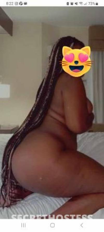 Cookie 25Yrs Old Escort Panama City FL Image - 0