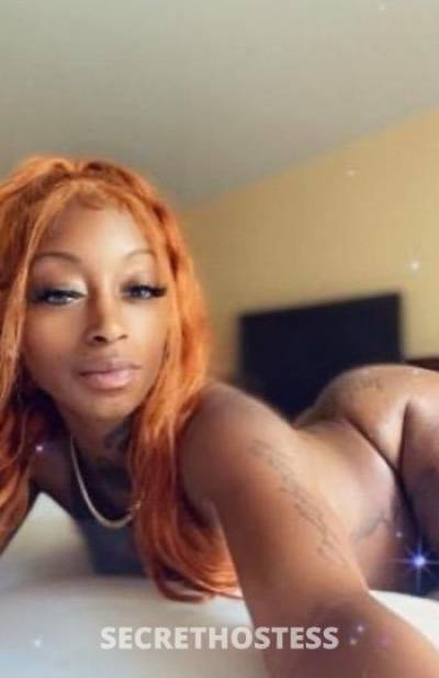 Rain 22Yrs Old Escort New Orleans LA Image - 1