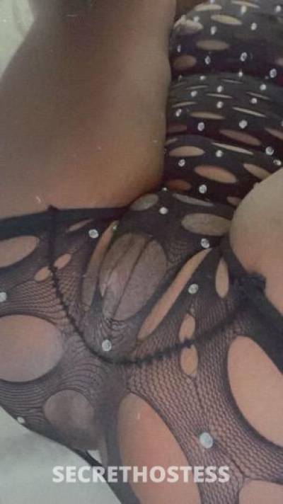 21Yrs Old Escort Rochester NY Image - 0