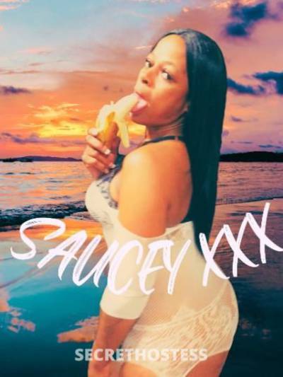 Saucey 48Yrs Old Escort San Fernando Valley CA Image - 0