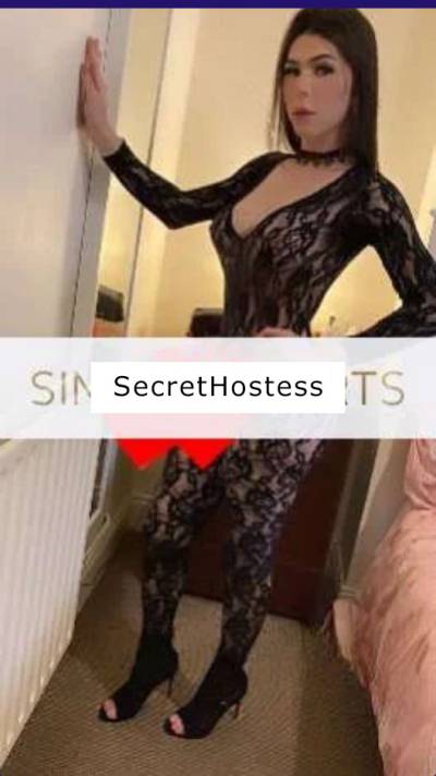 TS Bruna XL 28Yrs Old Escort Size 8 Belfast Image - 1