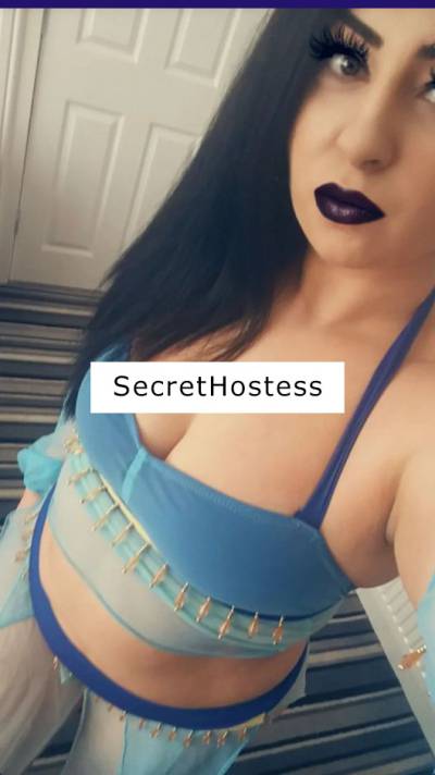 Alycesweet66 28Yrs Old Escort Kingston upon Hull Image - 3