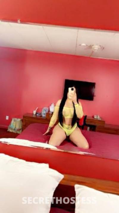 Anna 26Yrs Old Escort Bronx NY Image - 0