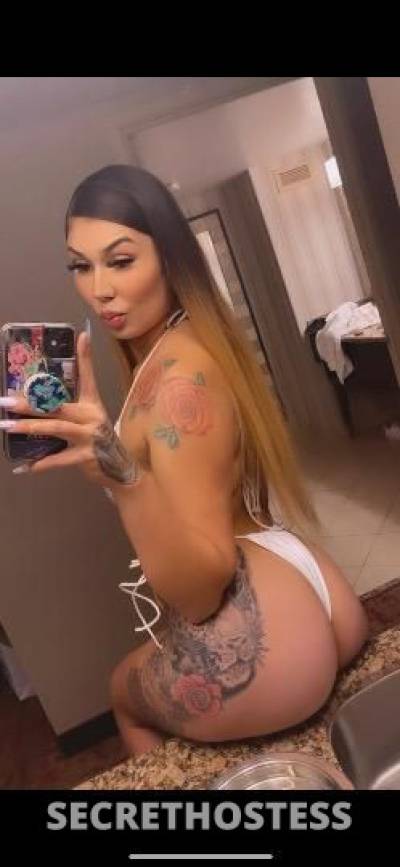 Aysia 24Yrs Old Escort Chico CA Image - 2