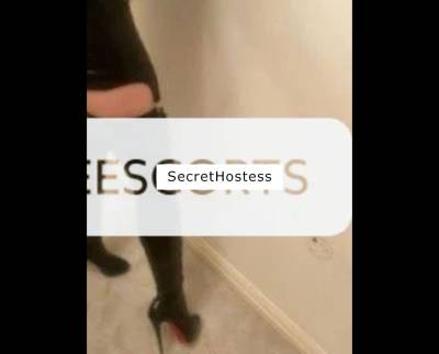 British Freelance Escort - Sophisticated British Lady -  in Solihull