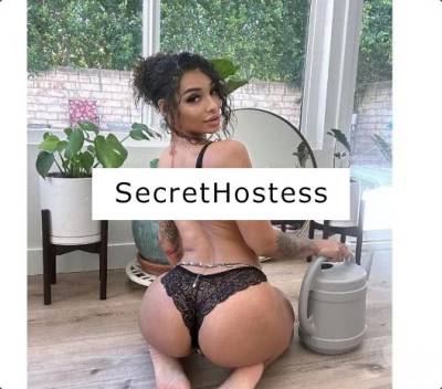 SOFIA 23Yrs Old Escort Taunton Image - 2