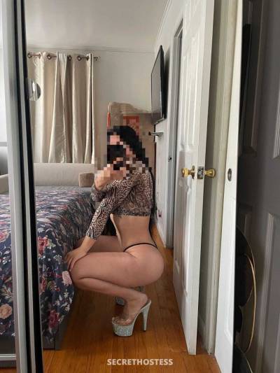 Sofia 28Yrs Old Escort Queensbury NY Image - 1