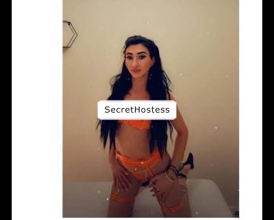 VANESSA 21Yrs Old Escort Cardiff Image - 0