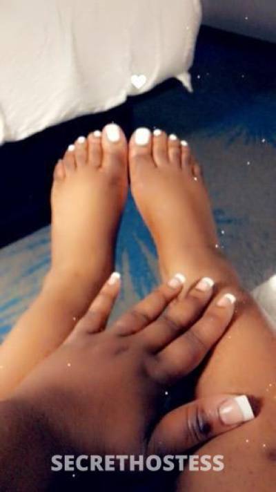 💦AshantiorPassion🌹💦 22Yrs Old Escort Saint Louis MO Image - 0