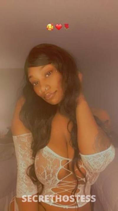 Ashley 25Yrs Old Escort Jacksonville FL Image - 0