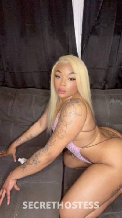 Bella 25Yrs Old Escort Cleveland OH Image - 1