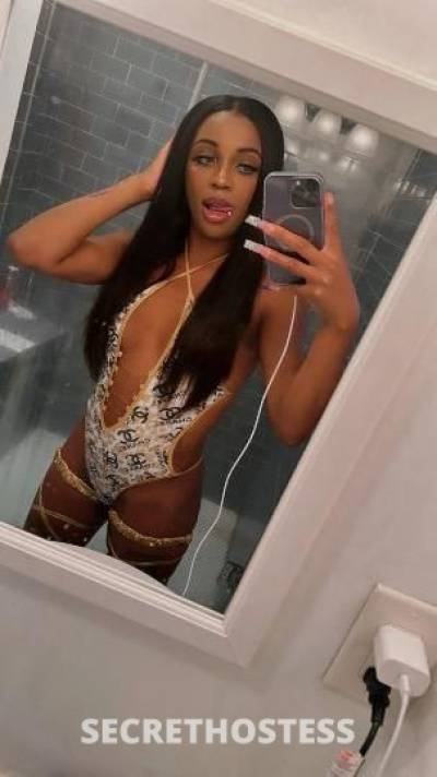 Chanel 24Yrs Old Escort Denver CO Image - 2