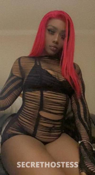 Diamond 28Yrs Old Escort Panama City FL Image - 2