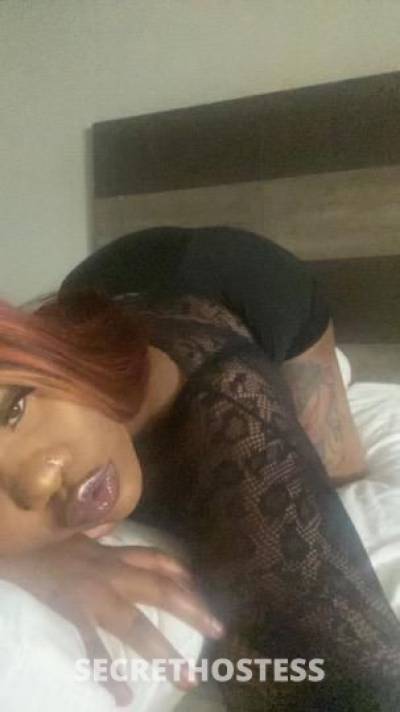 Dutchess 26Yrs Old Escort Panama City FL Image - 1