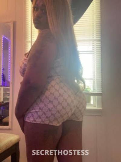 Lashundalockridge 27Yrs Old Escort North Mississippi MS Image - 2