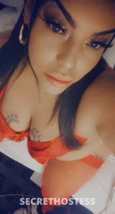 Lulu 29Yrs Old Escort Phoenix AZ Image - 0