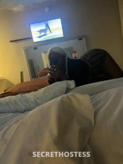 Mocca 25Yrs Old Escort San Diego CA Image - 1