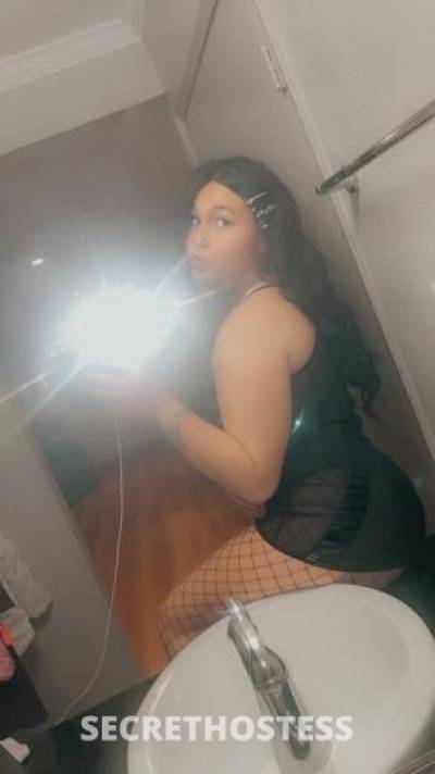 Nanii😋 24Yrs Old Escort North Bay CA Image - 2