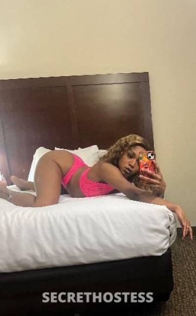 Wednesday 22Yrs Old Escort Dallas TX Image - 0