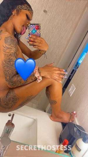 ✨Kaynasty👑 24Yrs Old Escort San Diego CA Image - 0