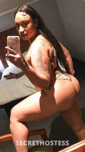 AvaRyder 25Yrs Old Escort Concord CA Image - 1