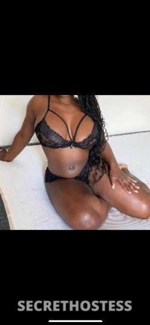 Bunny 28Yrs Old Escort Bradenton FL Image - 1