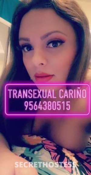 Cariño 25Yrs Old Escort McAllen TX Image - 1