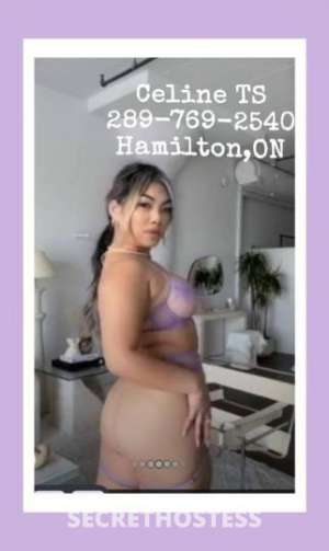 Celine 29Yrs Old Escort Hamilton Image - 1