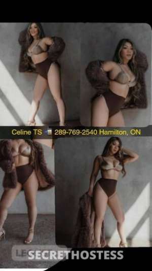 Celine 29Yrs Old Escort Hamilton Image - 2