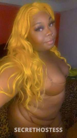 Chocolatebaby 25Yrs Old Escort Saint Louis MO Image - 0