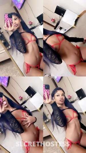 Chyna 25Yrs Old Escort Minneapolis MN Image - 1