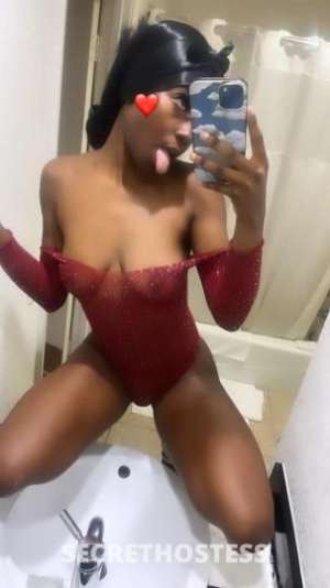 DOLL 18Yrs Old Escort Dallas TX Image - 2