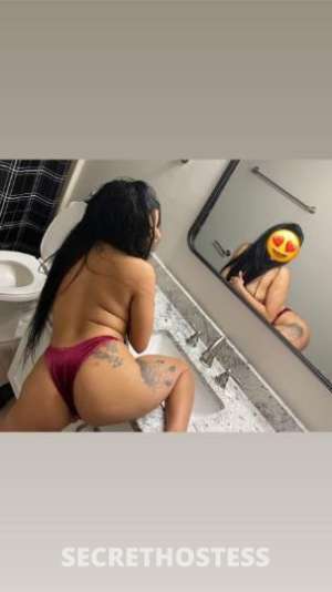 Estefanyt 25Yrs Old Escort Myrtle Beach SC Image - 0