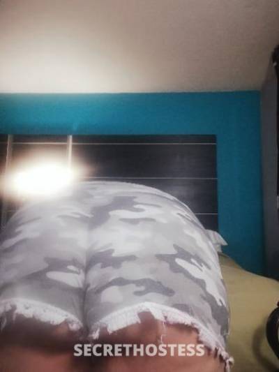 Kat 29Yrs Old Escort Rochester MN Image - 1