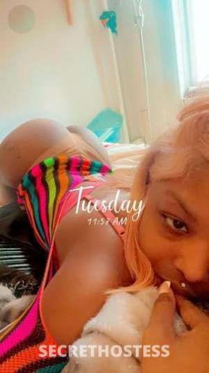 .kimmy the goddess‼ . . ! COME FUK OUR FACE . BEST ON HERE in Brooklyn NY