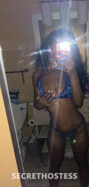 Kitty 21Yrs Old Escort Orlando FL Image - 1