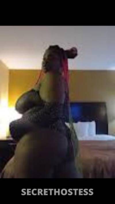 30 year old New Zealander Escort in Baton Rouge LA ...come see kiwi sweets